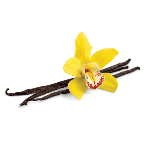 Vanilla